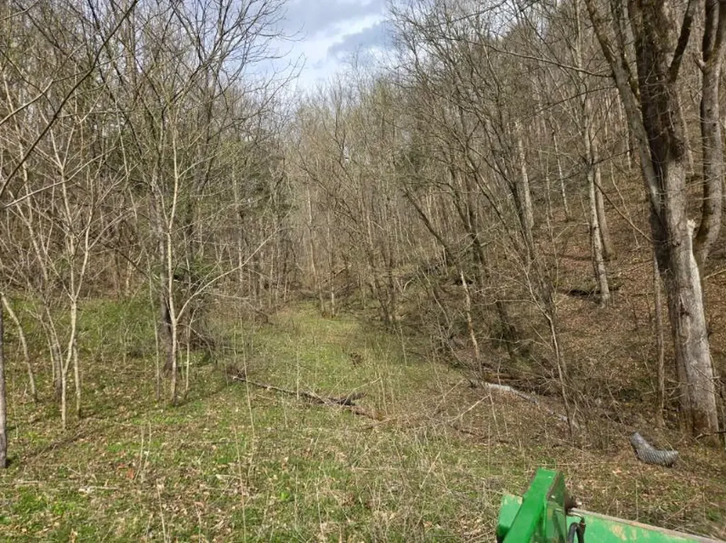 142 Tobe Lane Celina TN 38551