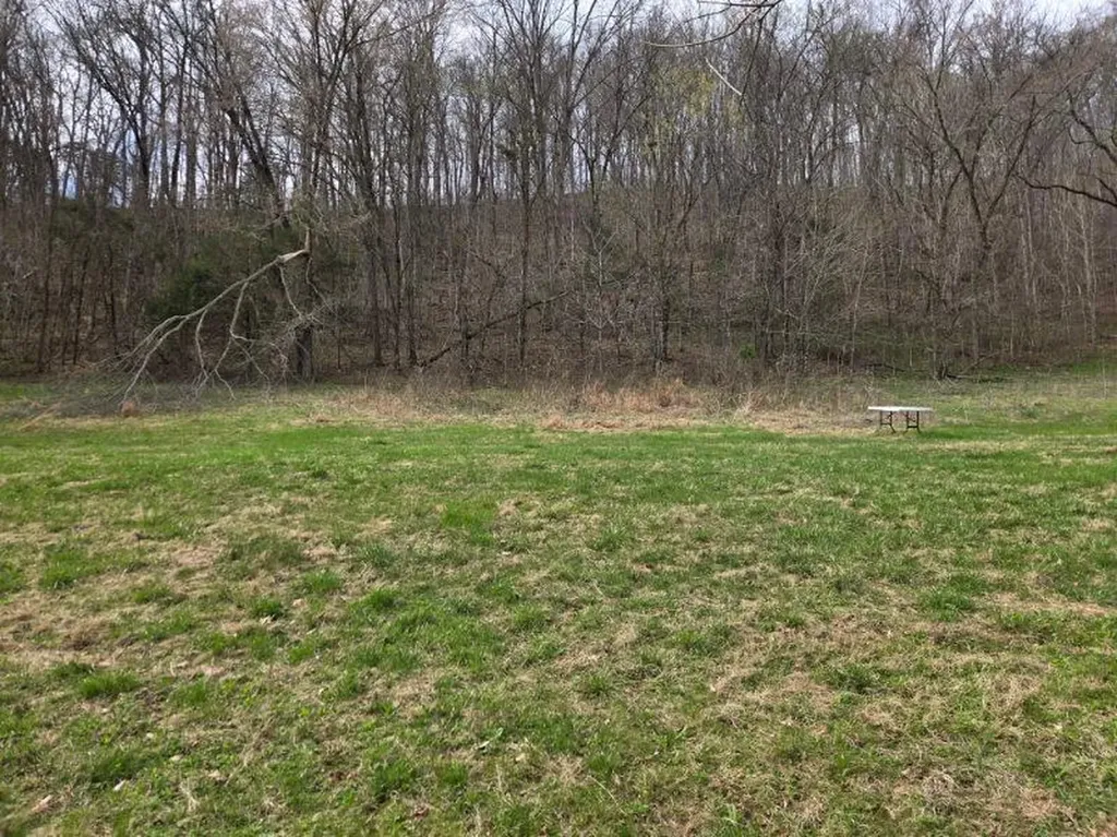 142 Tobe Lane Celina TN 38551