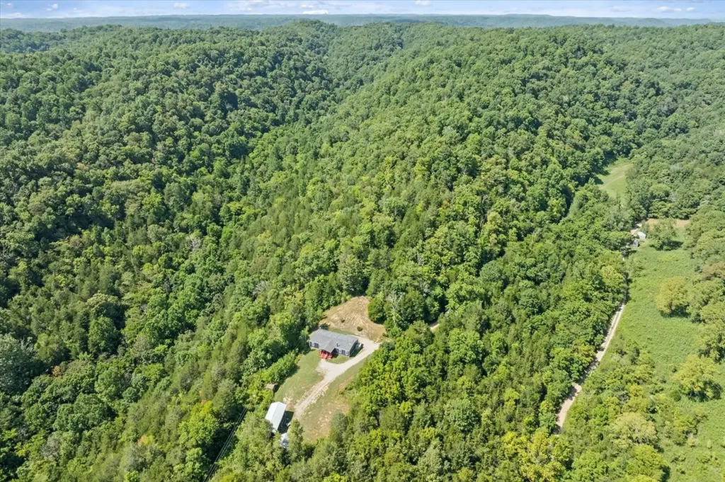 142 Tobe Lane Celina TN 38551