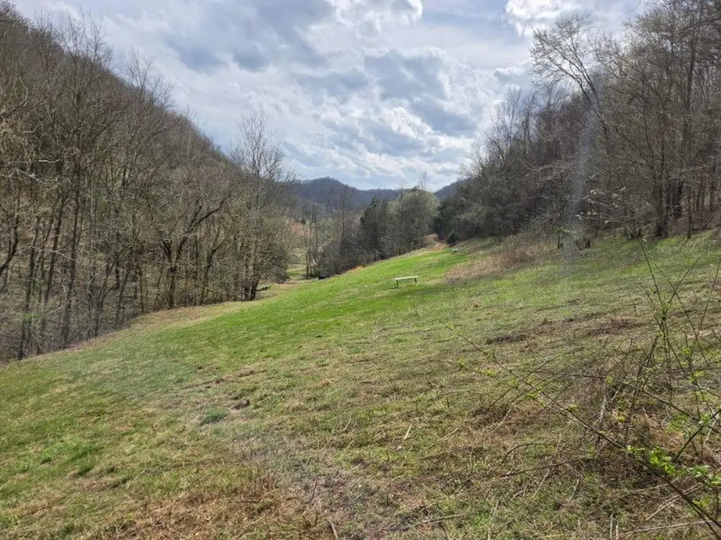 142 Tobe Lane Celina TN 38551