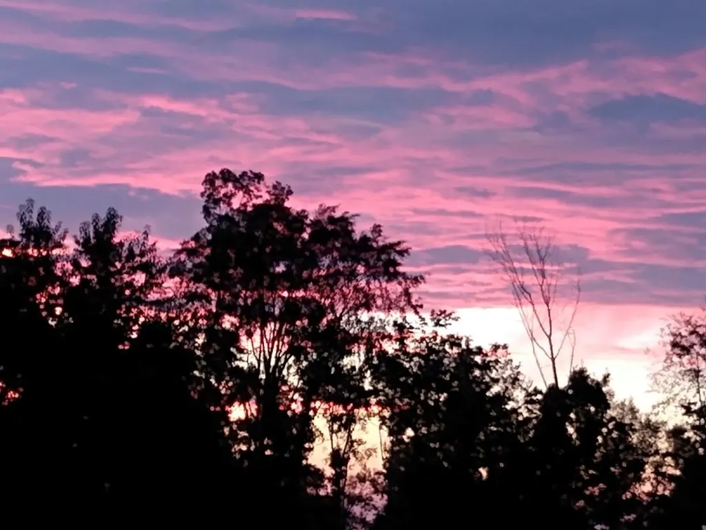 9466 Barnes Ridge Road Monroe TN 38573