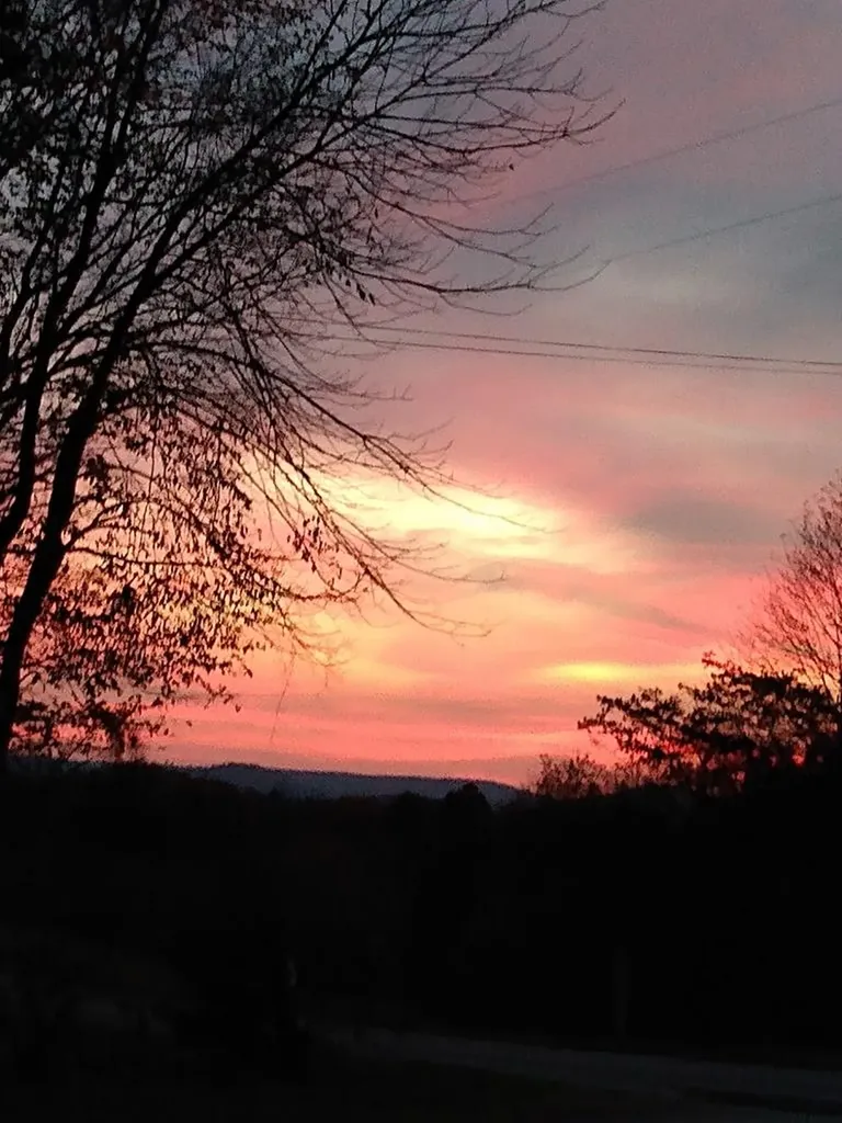 9466 Barnes Ridge Road Monroe TN 38573