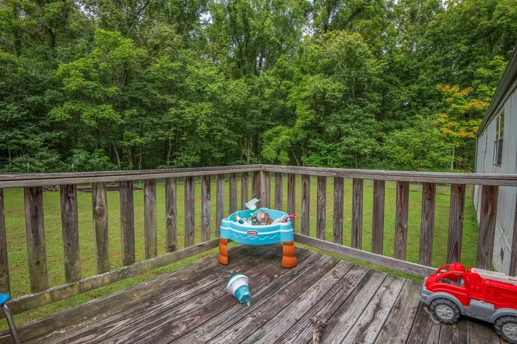 2920 Grapevine Hollow Other TN 37725