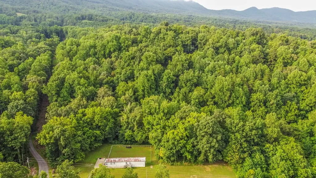 2920 Grapevine Hollow Other TN 37725