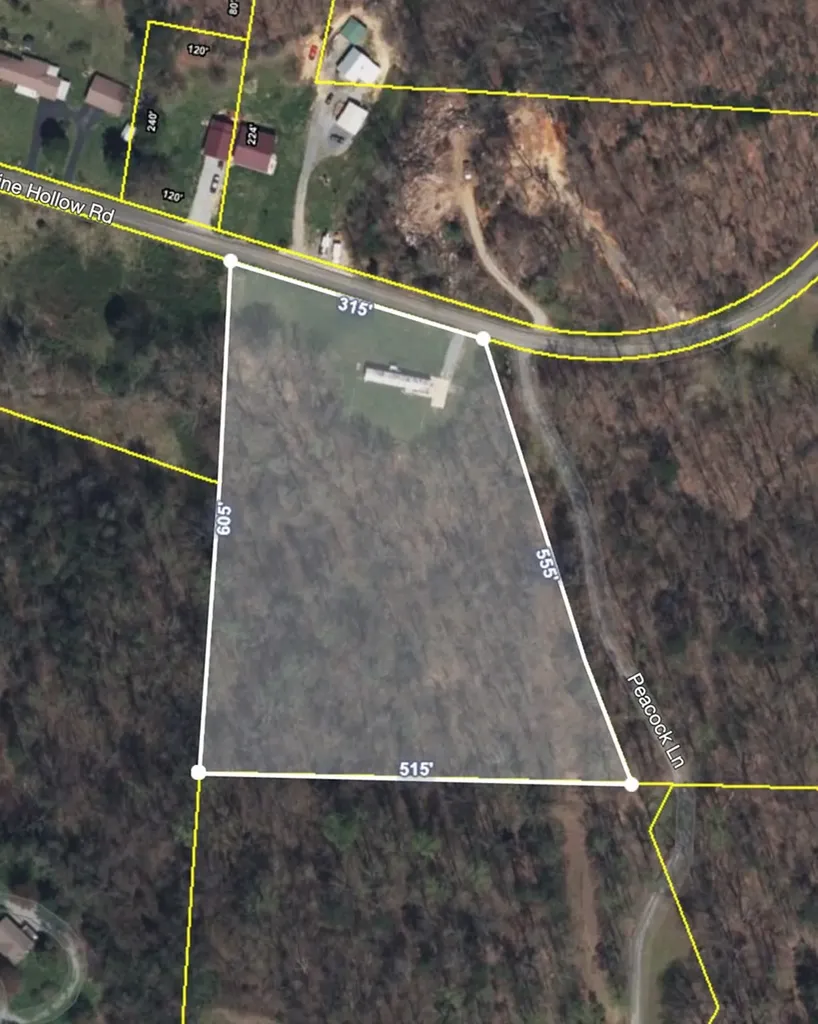 2920 Grapevine Hollow Other TN 37725