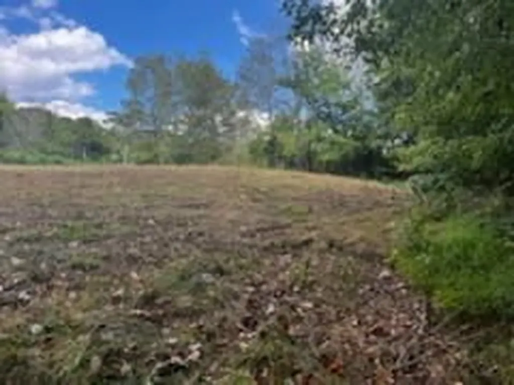 8380 Henley Road Baxter TN 38544