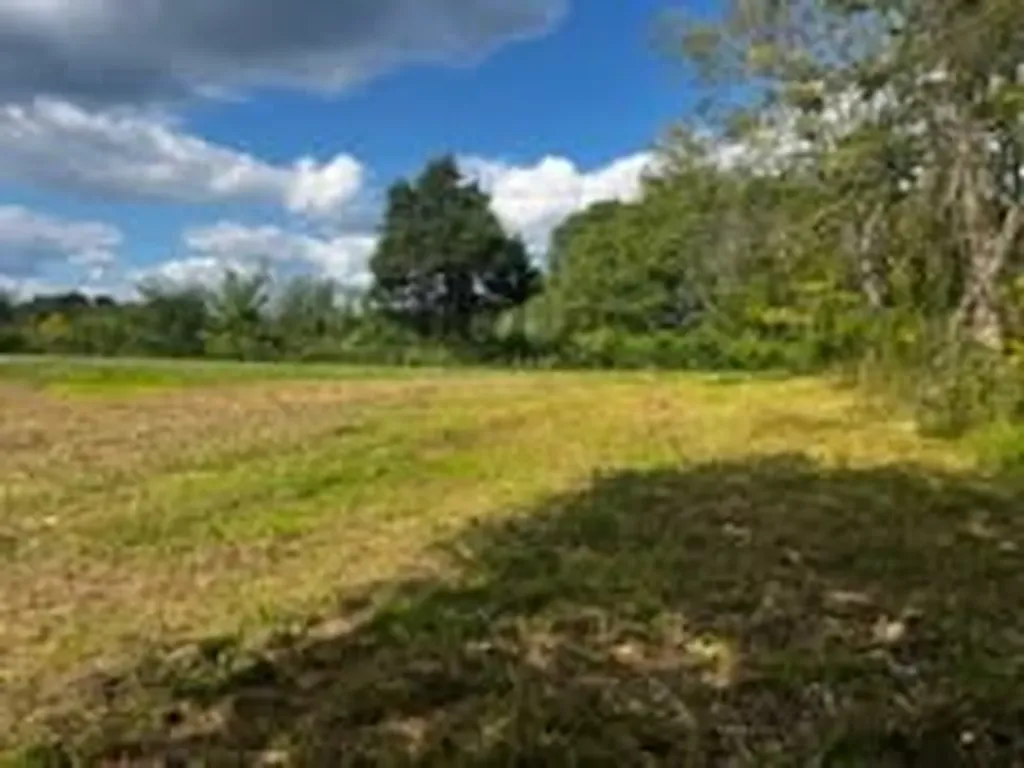 8380 Henley Road Baxter TN 38544