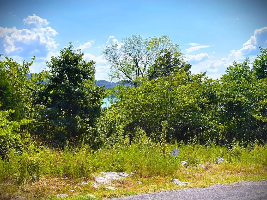 7D Bald Eagle Lane Hilham TN 38568