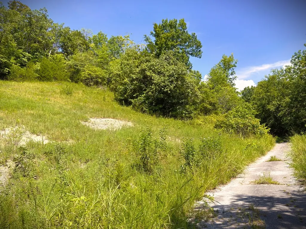 7D Bald Eagle Lane Hilham TN 38568