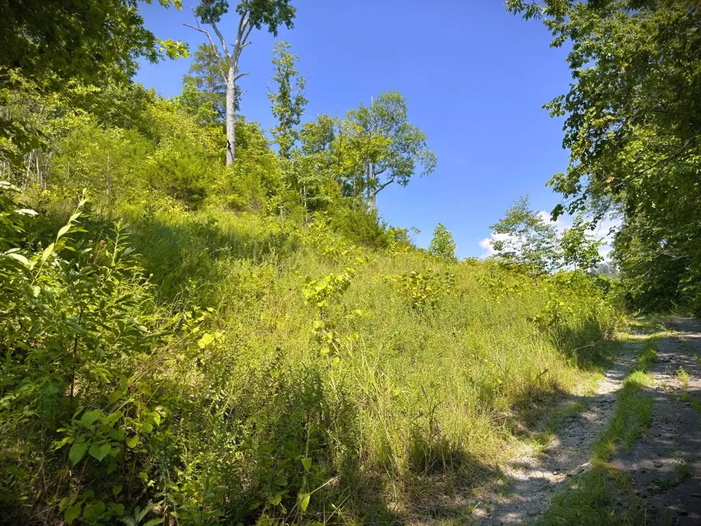 7D Bald Eagle Lane Hilham TN 38568