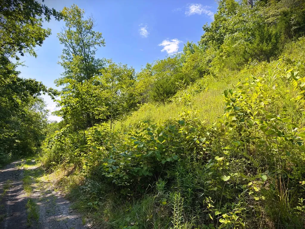 7D Bald Eagle Lane Hilham TN 38568