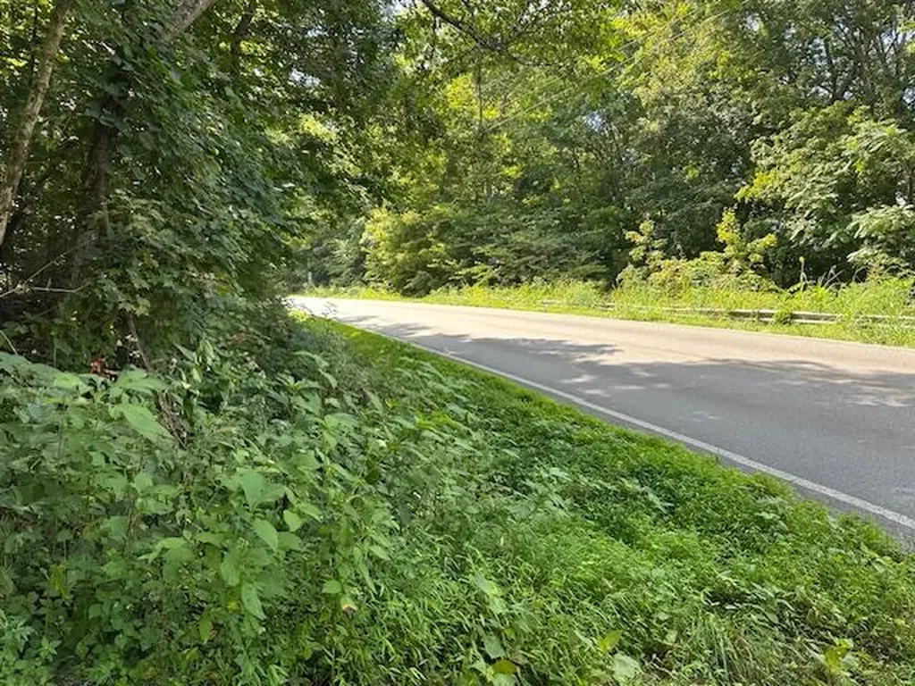 Na Gum Springs Mountain Road Sparta TN 38583