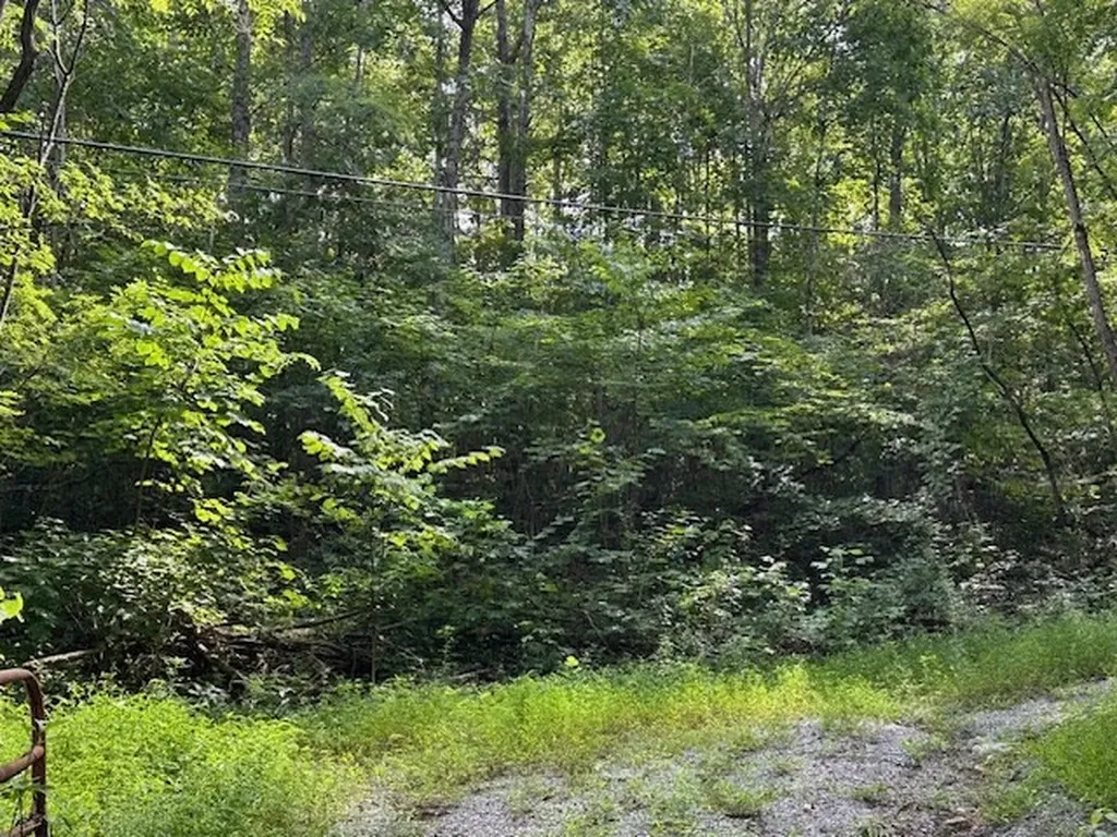 Na Gum Springs Mountain Road Sparta TN 38583