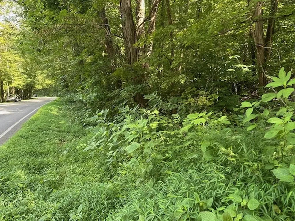 Na Gum Springs Mountain Road Sparta TN 38583
