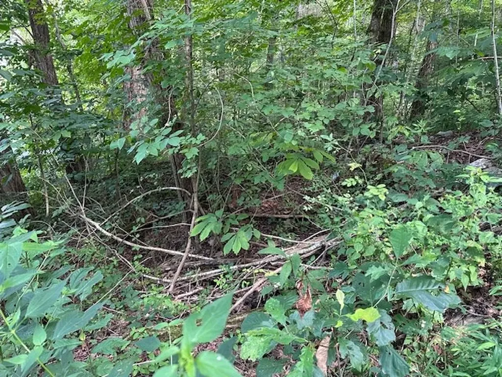 Na Gum Springs Mountain Road Sparta TN 38583