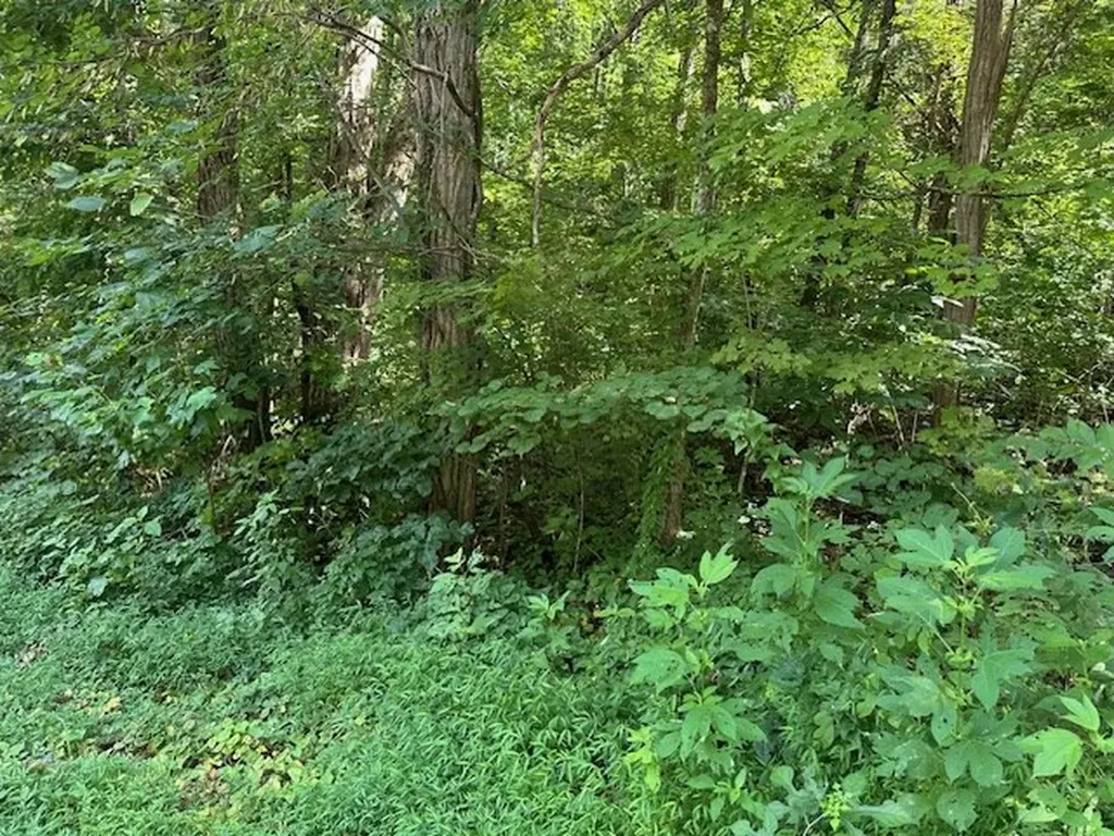 Na Gum Springs Mountain Road Sparta TN 38583