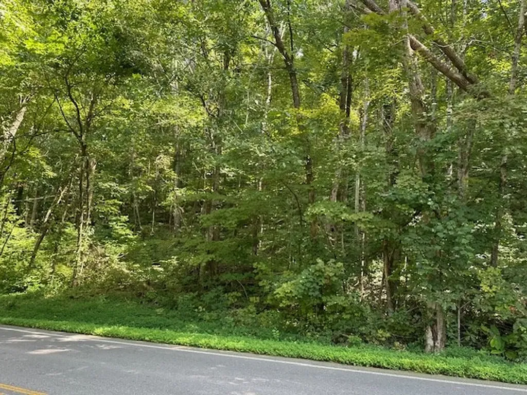 Na Gum Springs Mountain Road Sparta TN 38583