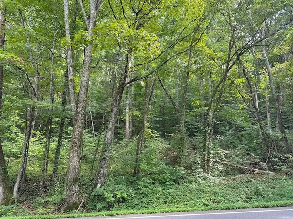 Na Gum Springs Mountain Road Sparta TN 38583