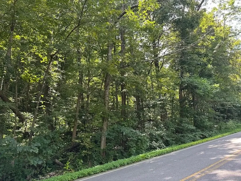 Na Gum Springs Mountain Road Sparta TN 38583
