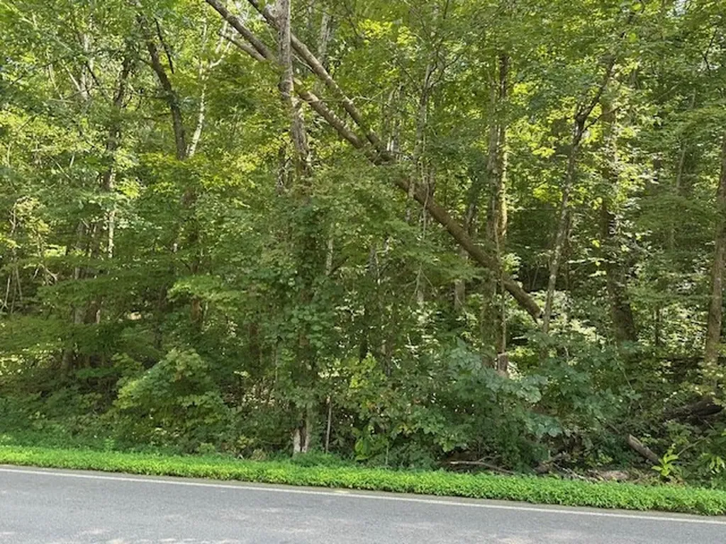 Na Gum Springs Mountain Road Sparta TN 38583
