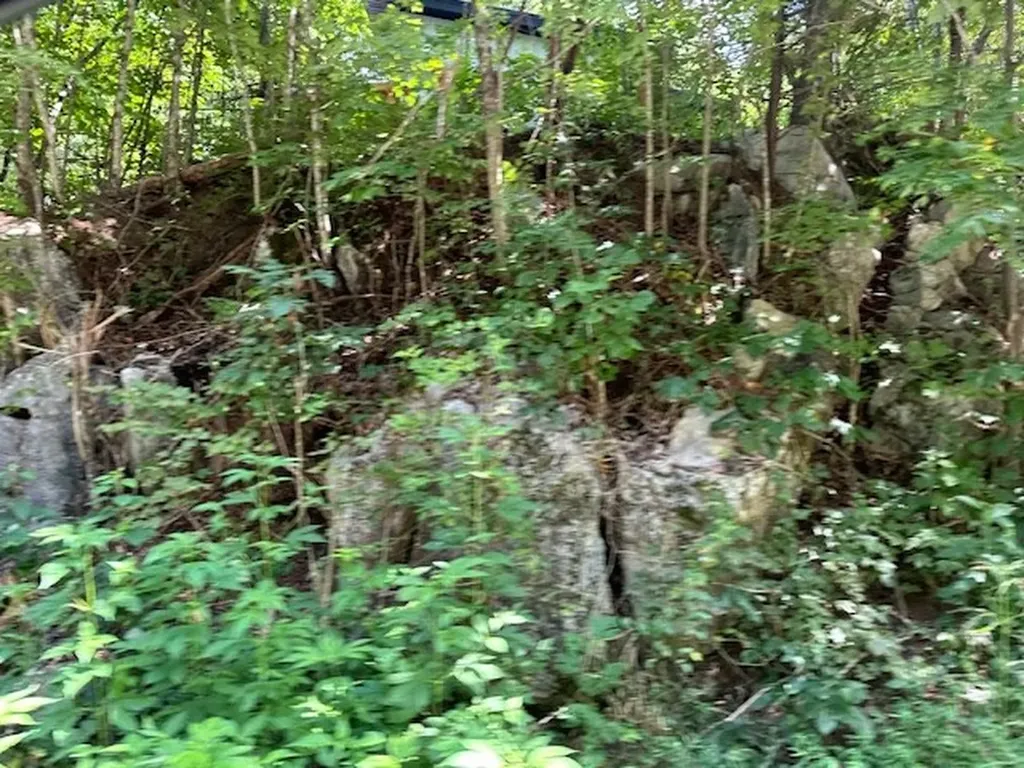 Na Gum Springs Mountain Road Sparta TN 38583