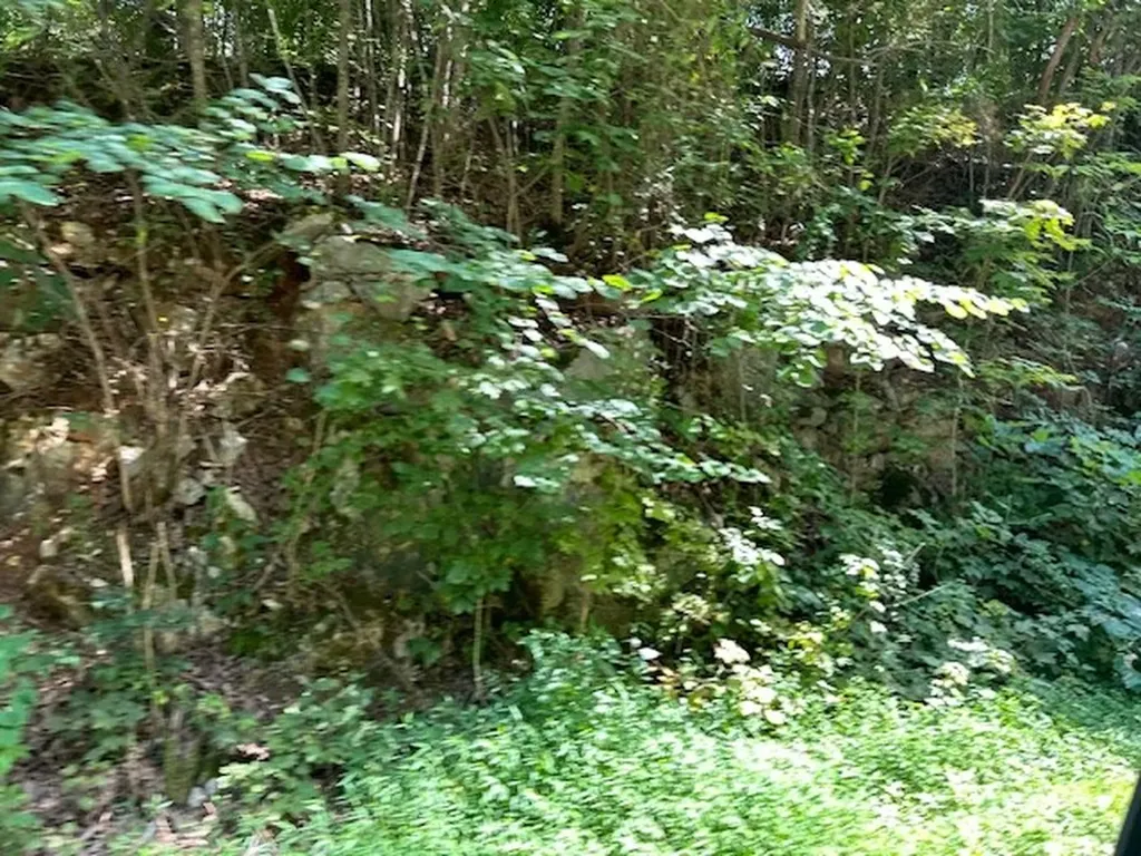 Na Gum Springs Mountain Road Sparta TN 38583