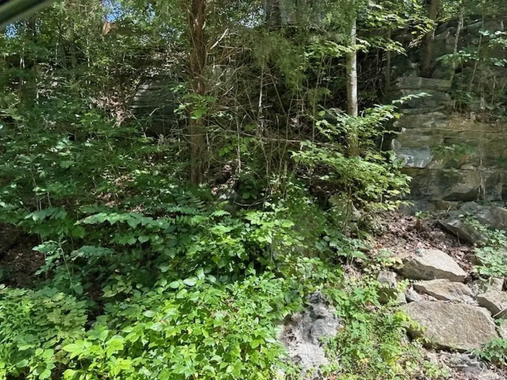 Na Gum Springs Mountain Road Sparta TN 38583