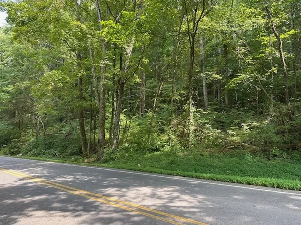 Na Gum Springs Mountain Road Sparta TN 38583