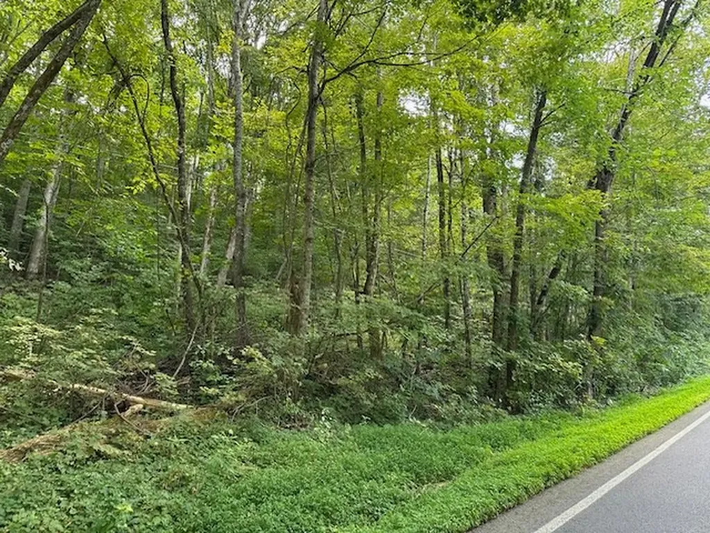 Na Gum Springs Mountain Road Sparta TN 38583