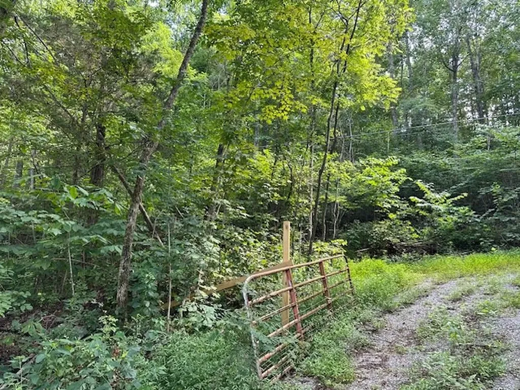 Na Gum Springs Mountain Road Sparta TN 38583