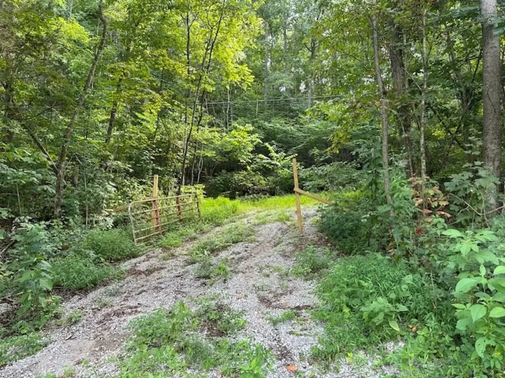 Na Gum Springs Mountain Road Sparta TN 38583