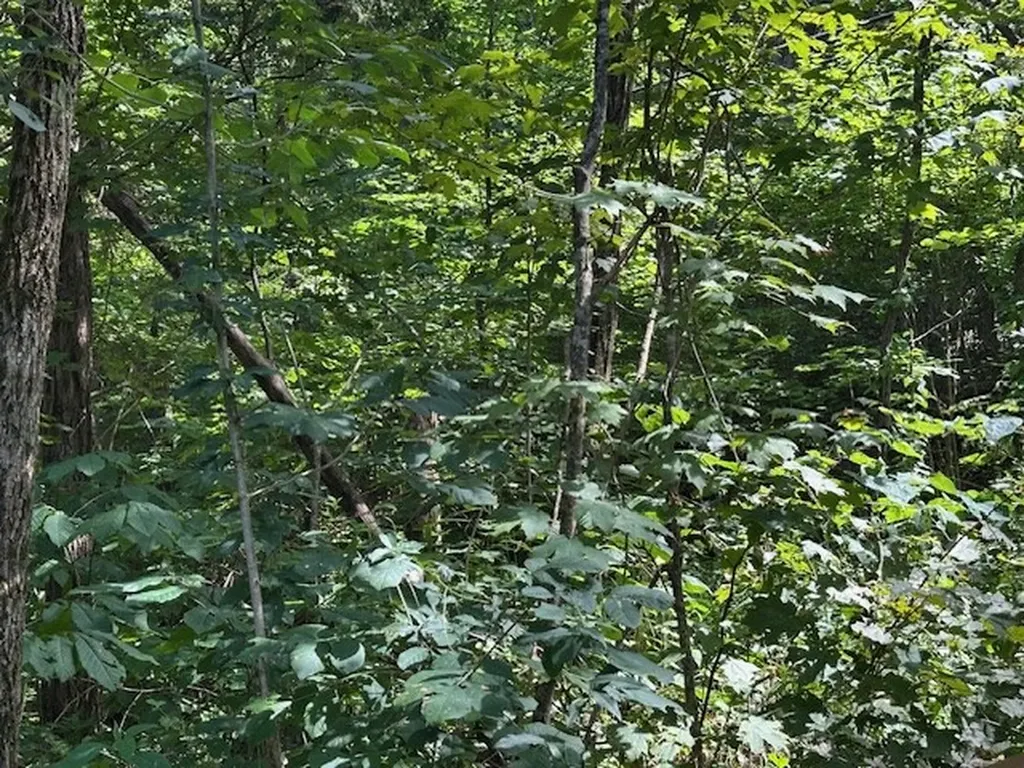 Na Gum Springs Mountain Road Sparta TN 38583