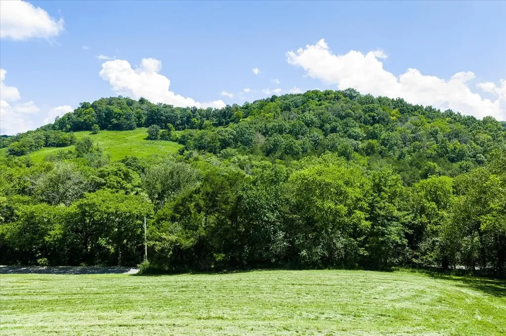 1585 Rock Springs Buffalo Valley TN 38548