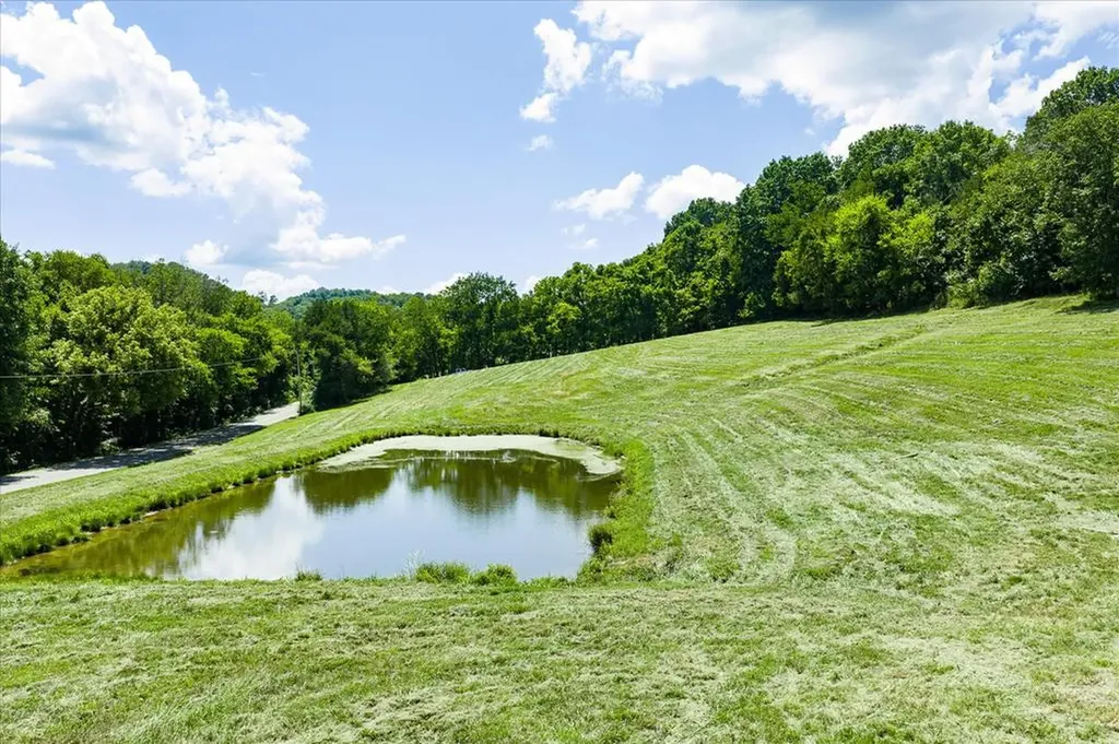 1585 Rock Springs Buffalo Valley TN 38548