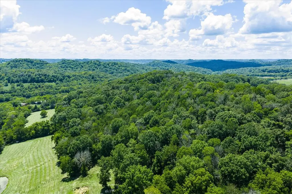 1585 Rock Springs Buffalo Valley TN 38548