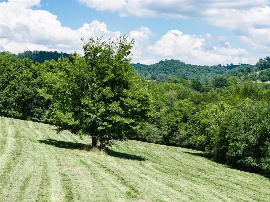 1585 Rock Springs Buffalo Valley TN 38548