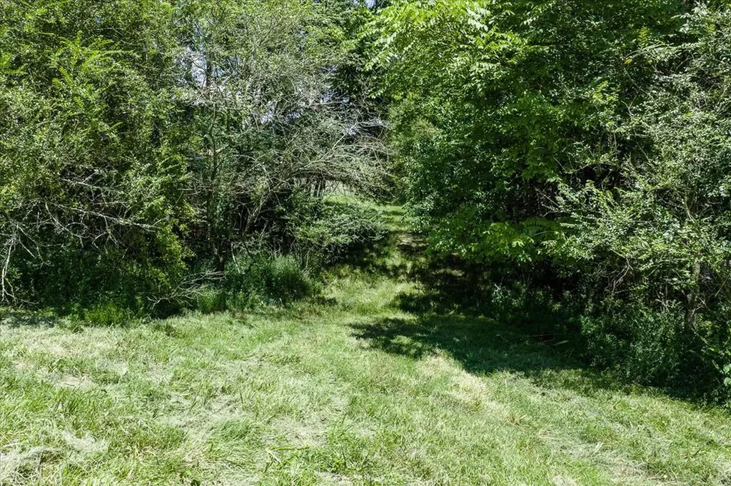 1585 Rock Springs Buffalo Valley TN 38548