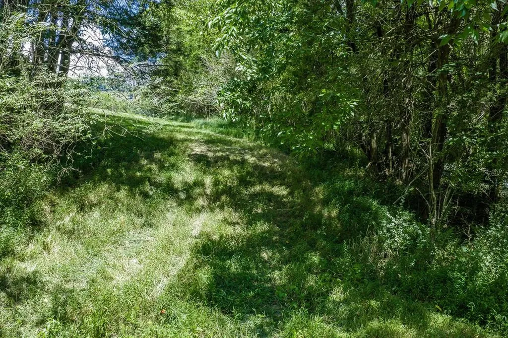 1585 Rock Springs Buffalo Valley TN 38548