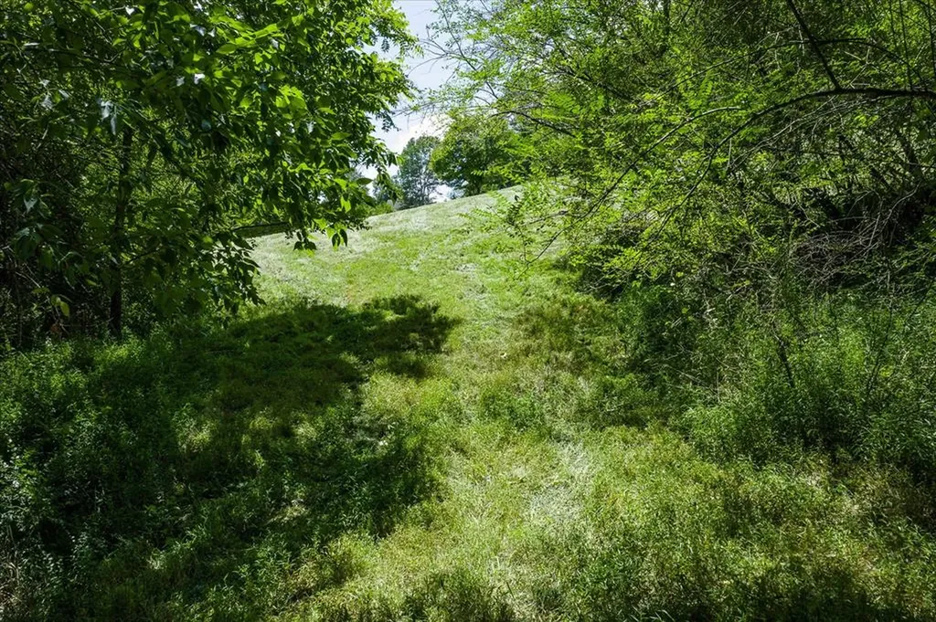 1585 Rock Springs Buffalo Valley TN 38548