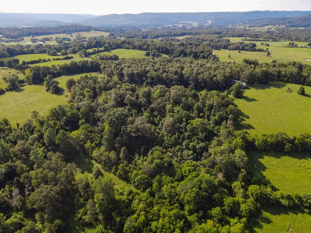 2359 E Gooseneck Road Sparta TN 38583