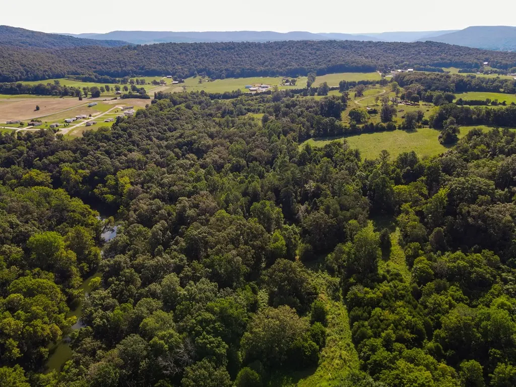 2359 E Gooseneck Road Sparta TN 38583