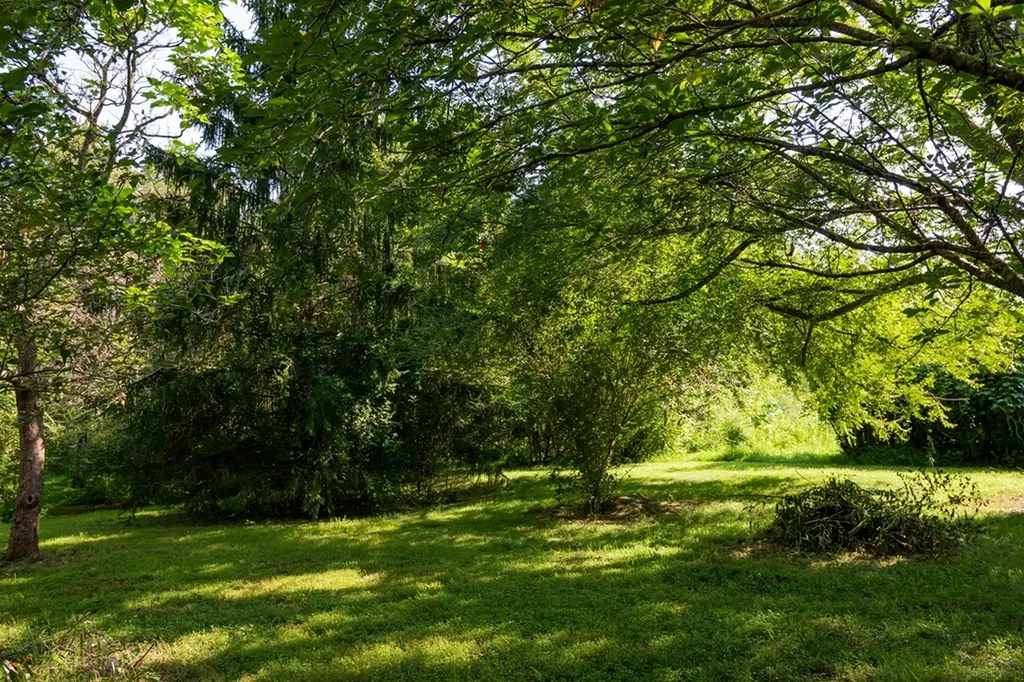 2359 E Gooseneck Road Sparta TN 38583