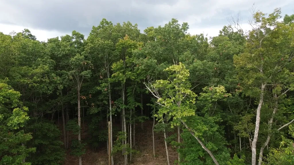 0 Bluff Point Lot 106 Spencer TN 38585