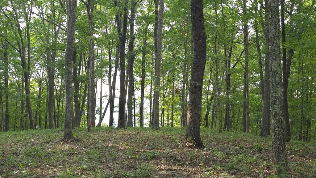 0 Bluff Point Lot 106 Spencer TN 38585