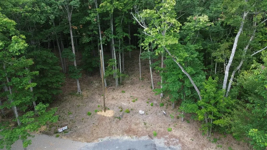0 Bluff Point Lot 106 Spencer TN 38585