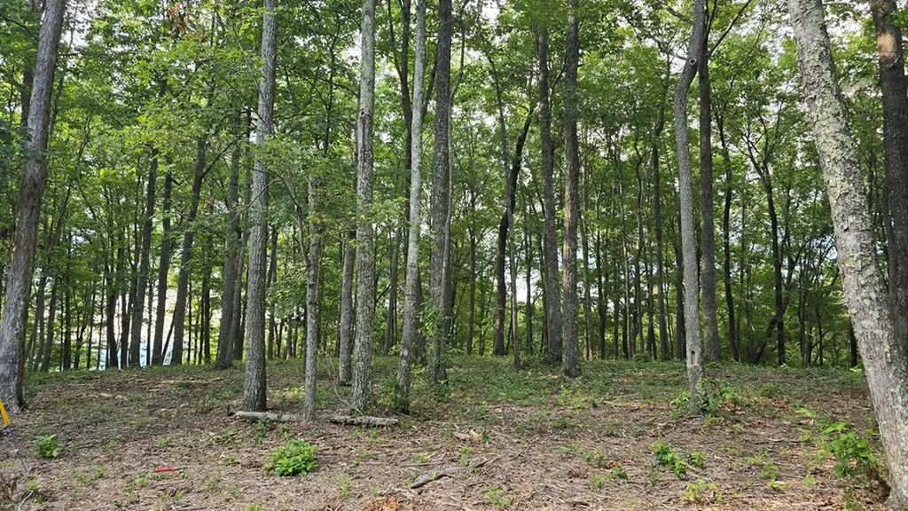 0 Bluff Point Lot 106 Spencer TN 38585