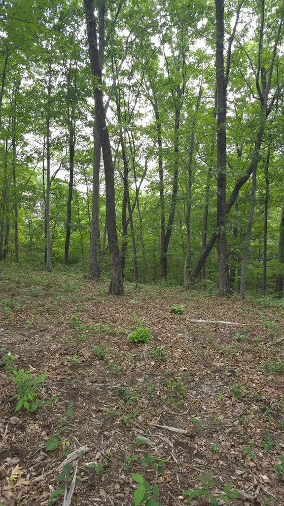 0 Bluff Point Lot 106 Spencer TN 38585