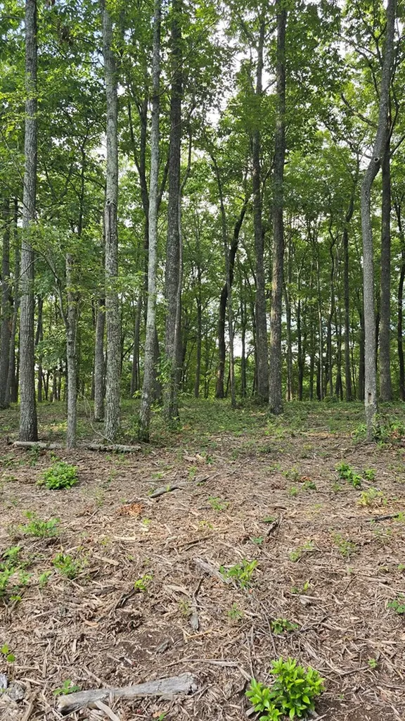 0 Bluff Point Lot 106 Spencer TN 38585