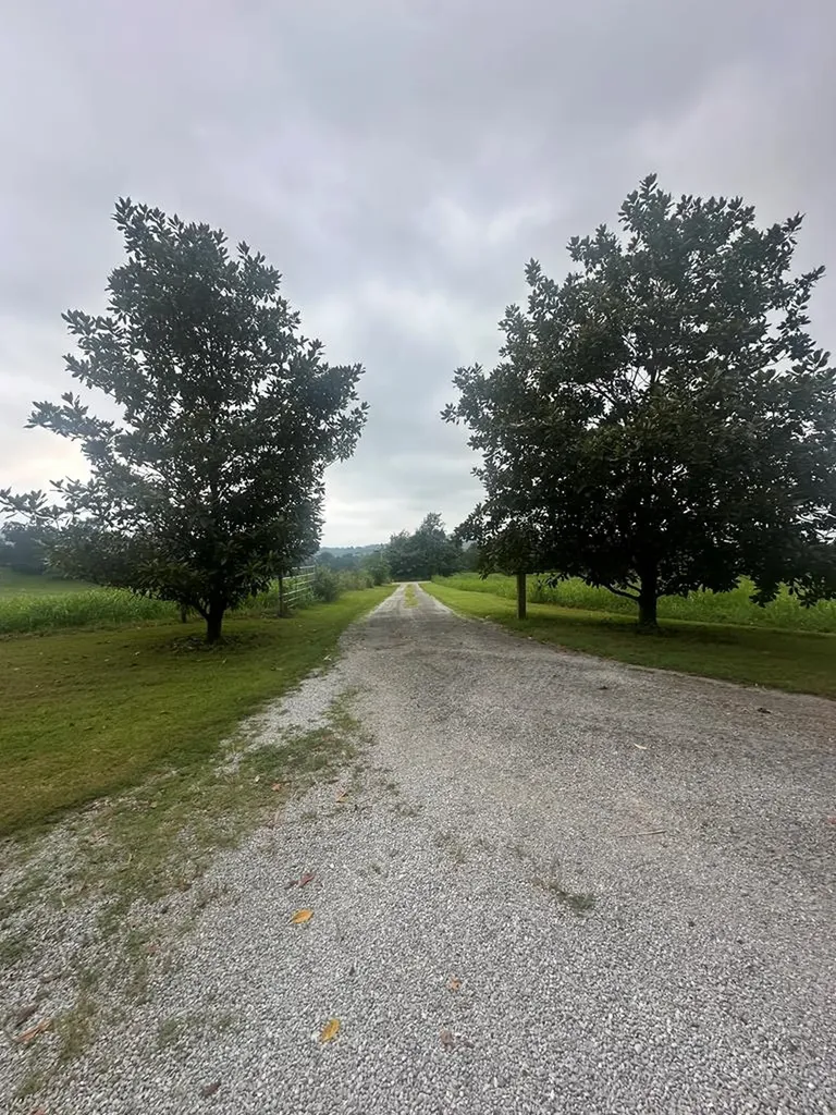 14 Alexander Lane Byrdstown TN 38549