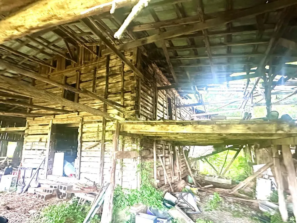 14 Alexander Lane Byrdstown TN 38549